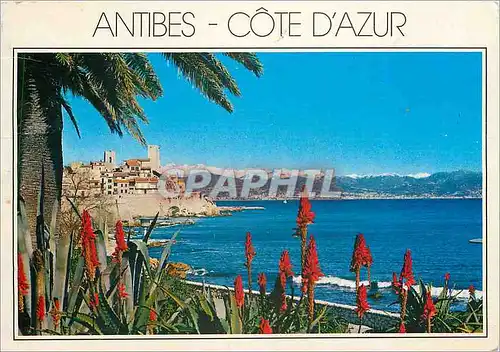 Moderne Karte Cote d'Azur French Riviera Antibes (Alpes Maritimes)