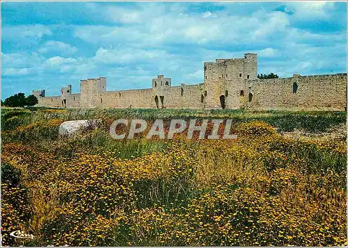 Cartes postales moderne Aigues Mortes Les remparts sud avec la tour des Bourguignons