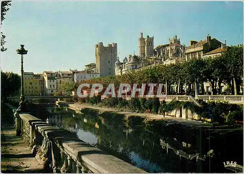 Cartes postales moderne Narbonne (Aude) Capitale de la Gaule meridionale la Basilique de l'hotel de ville et les quais d