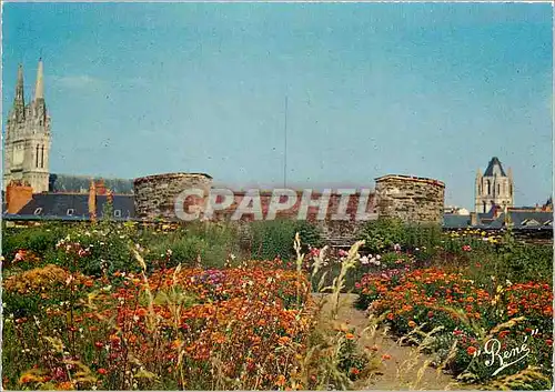Moderne Karte Angers (Maine et Loire) Le Chateau Jardins suspendus au fond la cathedrale et la tour St Aubin