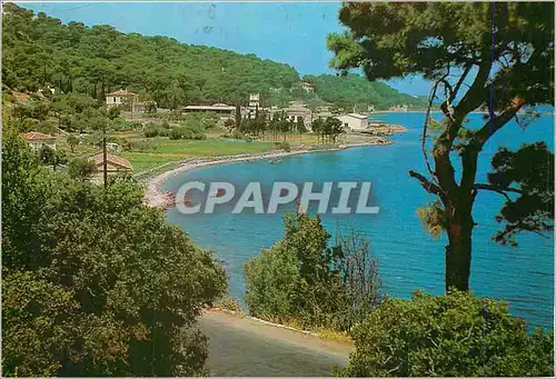 Cartes postales moderne Samos Le Charmant Malagari