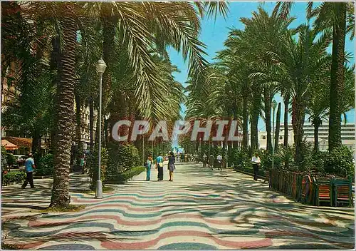 Cartes postales moderne Alicante Ecplanada de Espana