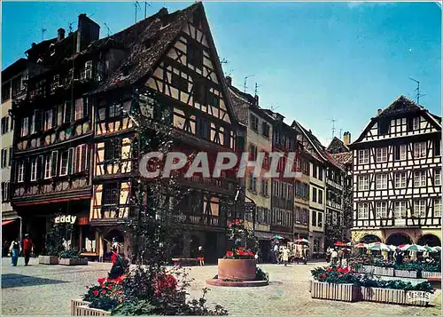 Cartes postales moderne Strasbourg (Bas Rhin) La Place du Marche aux Cochons de Lait