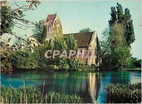 Cartes postales moderne La Luxuriante Normande entre Honfleur et Trouville (Calvados)