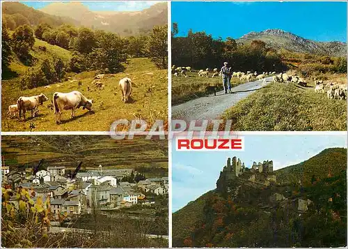 Cartes postales moderne Rouze et ses environs les alpages moutons aux paturages Rouze village le chateau d'Usson
