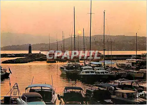 Moderne Karte Cannes (Alpes Mmes) Coucher de Soleil sur le Port Pierre Canto