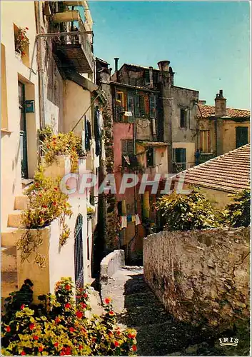 Cartes postales moderne Menton Vieille rue Fleurie