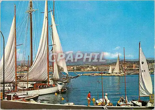 Cartes postales moderne Cannes Vue prise sur la Croisette depuis le nouveau Port Pierre Canto