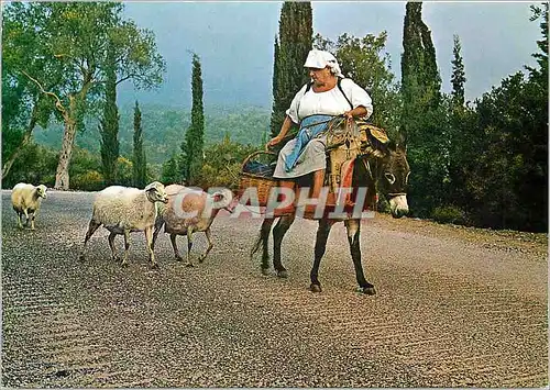 Cartes postales moderne Paysanne de Corfou