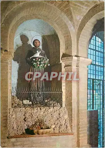 Cartes postales moderne Basilique Patriarcale di S Maria Angeli (Assisi) St Francois et les Tourterelles