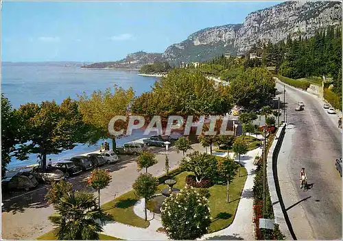 Cartes postales moderne Lago di Garda Gardasee Carda