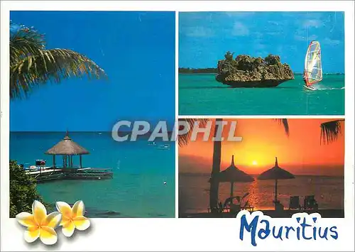 Cartes postales moderne Ile Maurice Couleurs de l'Ile