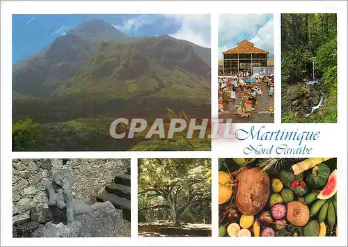 Cartes postales moderne Martinique Nord Caraibe