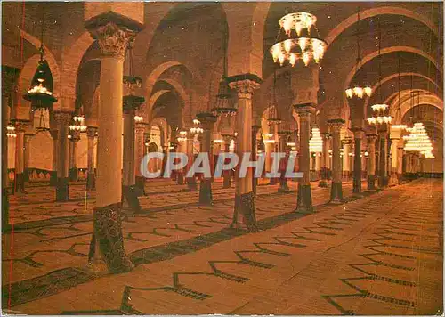 Cartes postales moderne Salle de priere de la grande Mosquee