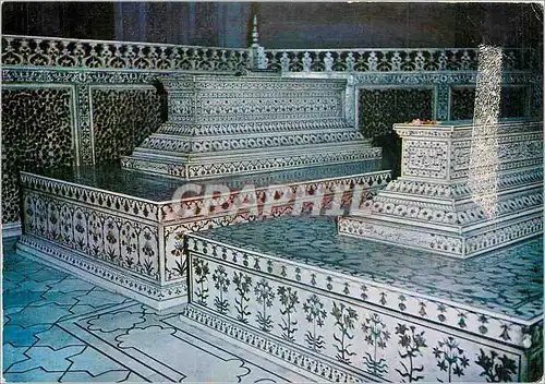 Cartes postales moderne Toms inside the tai agra India