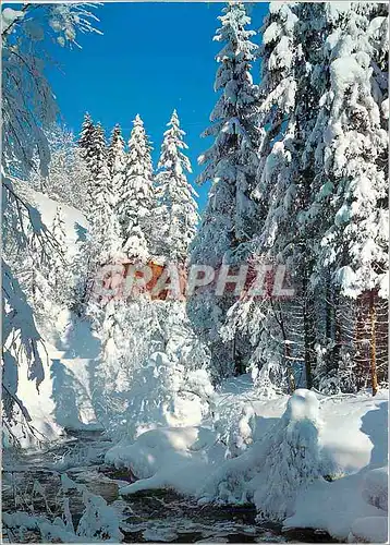 Cartes postales moderne Winter in Gstaad