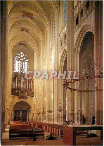 Cartes postales moderne Nantes (Loire Atlantique) Interieur de la Cathedrale Saint Pierre la Nef
