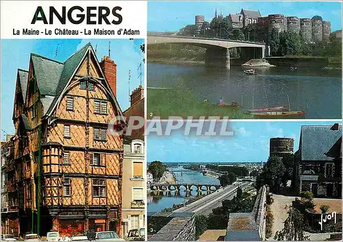Cartes postales moderne Angers (Maine et Loire) La Maison d'Adam La Maine et le chateau