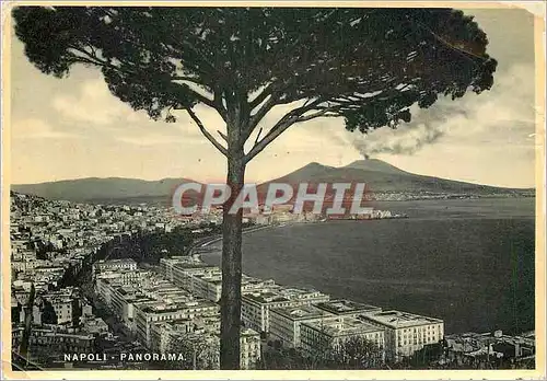 Cartes postales moderne Napoli Panorama