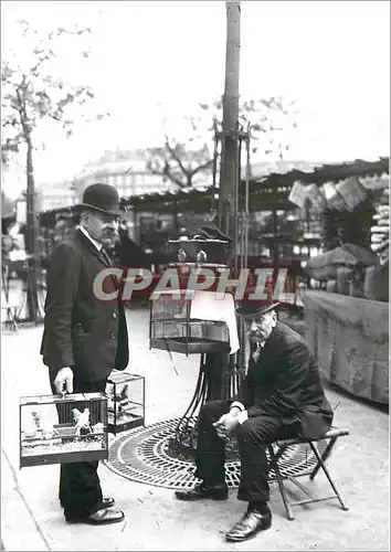 Cartes postales moderne Paris La Cage au Rossignol