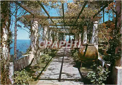 Cartes postales moderne Anacapri Villa San Michel Le Treillis