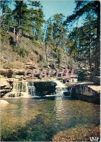 Cartes postales moderne Charmes et Couleurs de la Corse Evisa La Piscine Sindaghi (834 m d'alt)