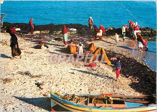 Cartes postales moderne Sousse Laveuses de laine