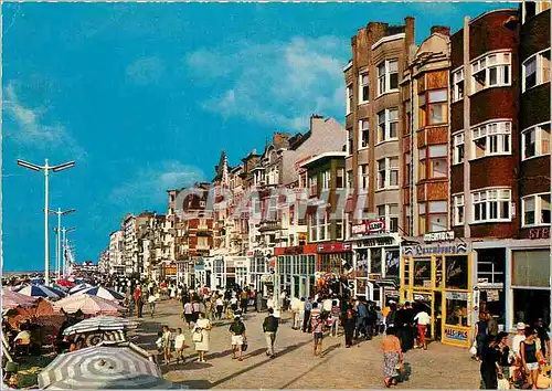 Cartes postales moderne La Panne Promenade