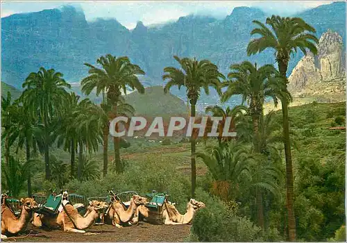 Cartes postales moderne Santa Lucia (Las Palmas de Gran Canaria) Nice Panorama