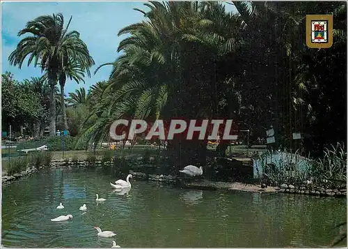 Cartes postales moderne Maspalomas (Gran Canaria) Jardin Oasis