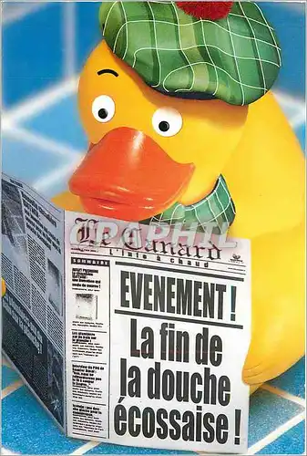 Cartes postales moderne La Fin de la douche Ecossaise