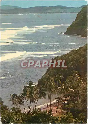 Cartes postales moderne Martinique Paysage sur la cote Atlantique