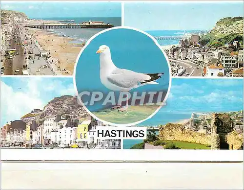 Cartes postales moderne Hastings St Leonards