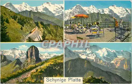 Cartes postales moderne Schynige Platte