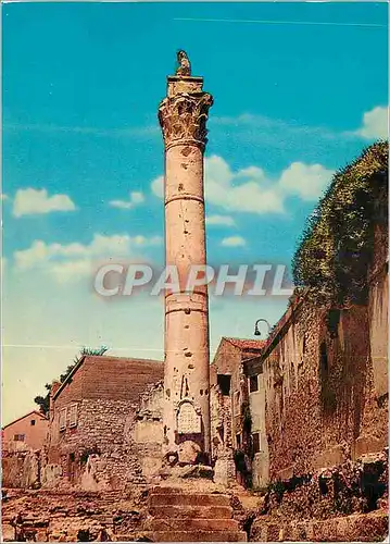 Cartes postales moderne Zadar Stub srama Colonne romaine
