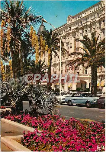 Cartes postales moderne La Cote d'Azur Cannes (A M) Le carlton Hotel