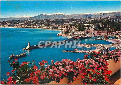 Cartes postales moderne Cote d'Azur Nice (A M) le Vieux port et la Baie des Anges