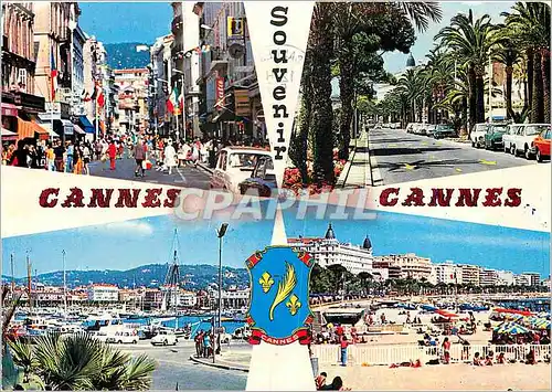 Cartes postales moderne Cannes Souvenir