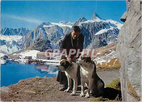 Cartes postales moderne Au col du Grand Saint Bernard Religieux de l'Hospice et ses chiens