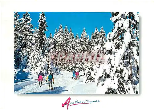 Cartes postales moderne Authentique Ski