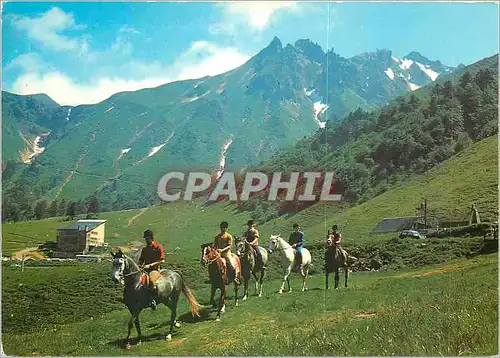 Cartes postales moderne L'Auvergne Touristique Promenade a chevale au pieds du Sancy (alt 1886 m)