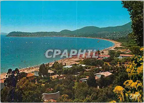 Cartes postales moderne Cote d'Azur Varoise La Croix Valmer (Var) La Plage au loin le Parc de cavalaire et cavalaire