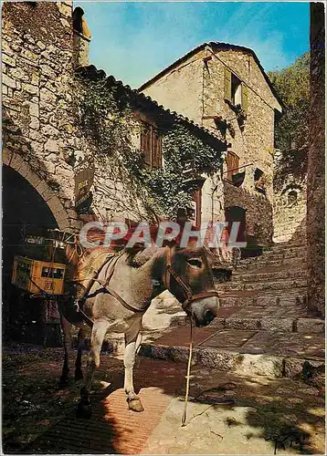 Moderne Karte La Cote d'Azur inoubliable dans un vieux village Ane Mule