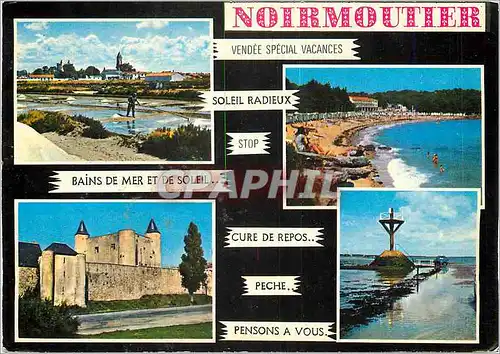 Cartes postales moderne La Vendee Touristique l'Ile de Noirmoutier