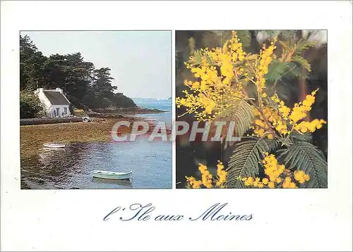 Cartes postales moderne Iles aux Moines perle du Golfe du Morbihan
