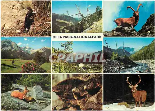 Cartes postales moderne Ofenpass Nationalpark