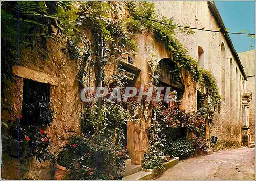 Moderne Karte Sarlat (Dordogne) Vieille maison fleurie