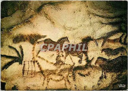 Cartes postales moderne Le Perigord Touristique Grotte de Lascaux At Prehistorique