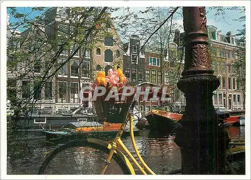 Cartes postales moderne Igno Cuypers