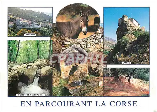Moderne Karte La Corse Ile de Beaute en parcourant la corse Corte Vivario Vizzavona